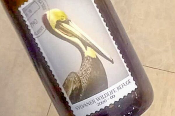 VN Communication alsace 10