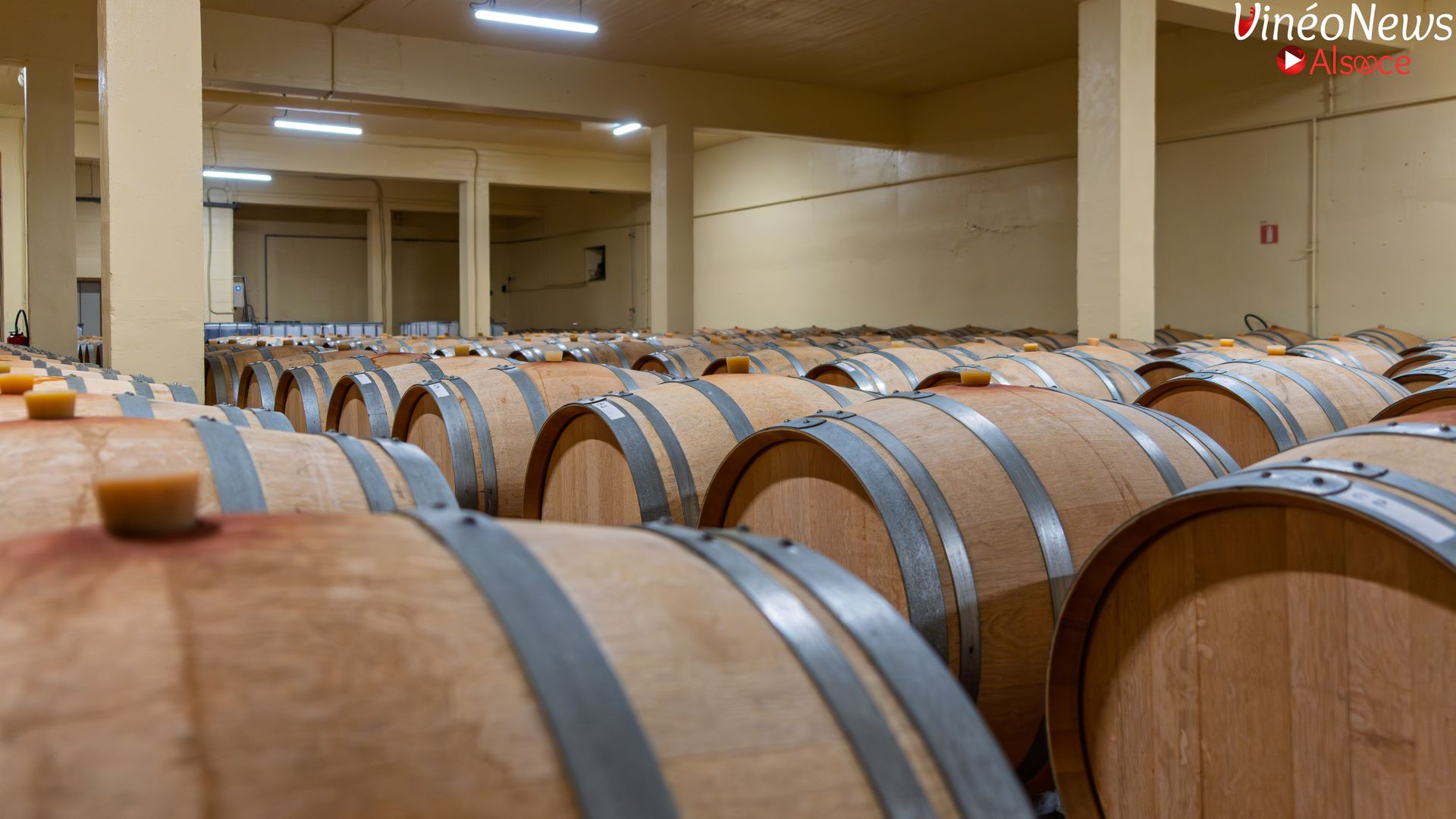 Arthur Metz, dans les coulisses d’un géant