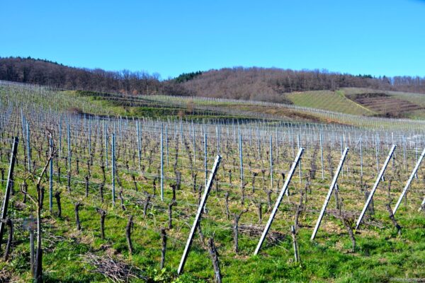 VN Communication alsace 29 VN Communication alsace 29