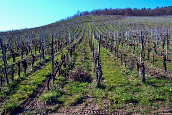 VN Communication alsace 30 VN Communication alsace 30