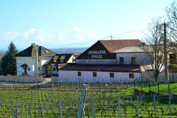 VN Communication alsace 33 VN Communication alsace 33