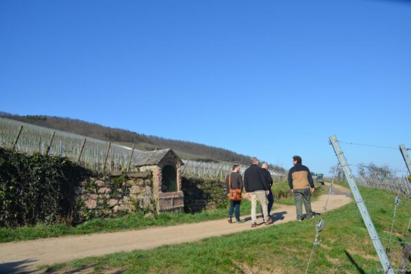 VN Communication alsace 34 VN Communication alsace 34