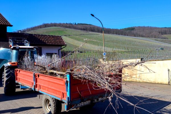 VN Communication alsace 35 VN Communication alsace 35