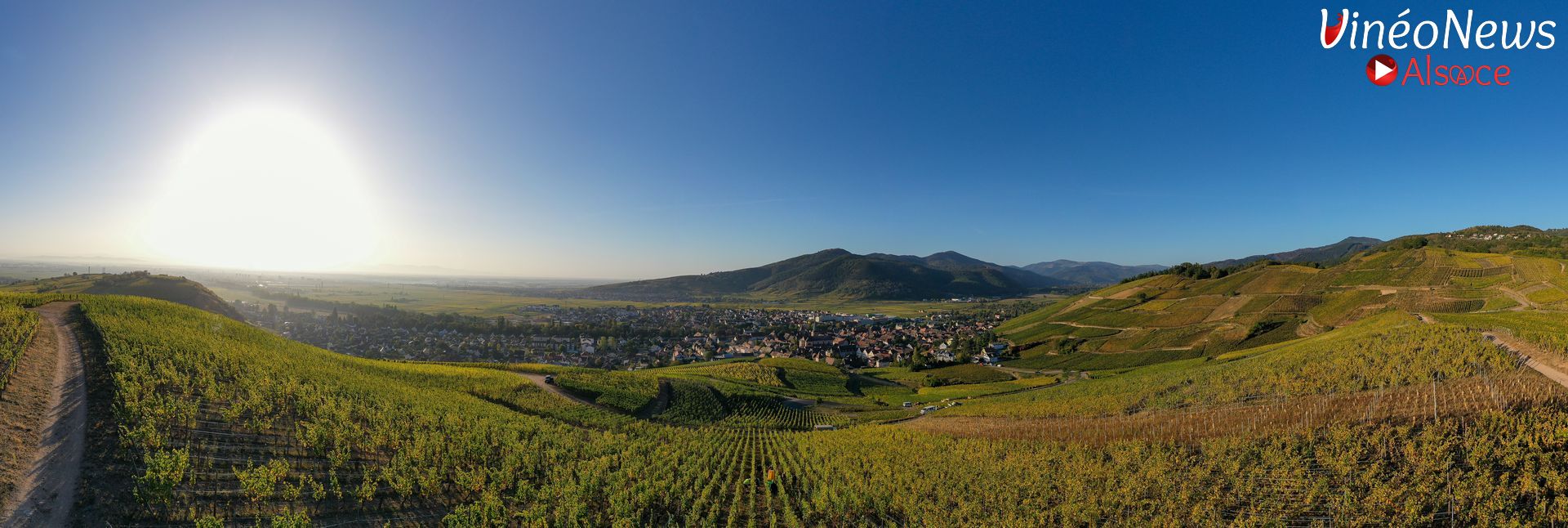 Le Domaine Hurst célèbre un siècle d’histoire et de passion à Turckheim