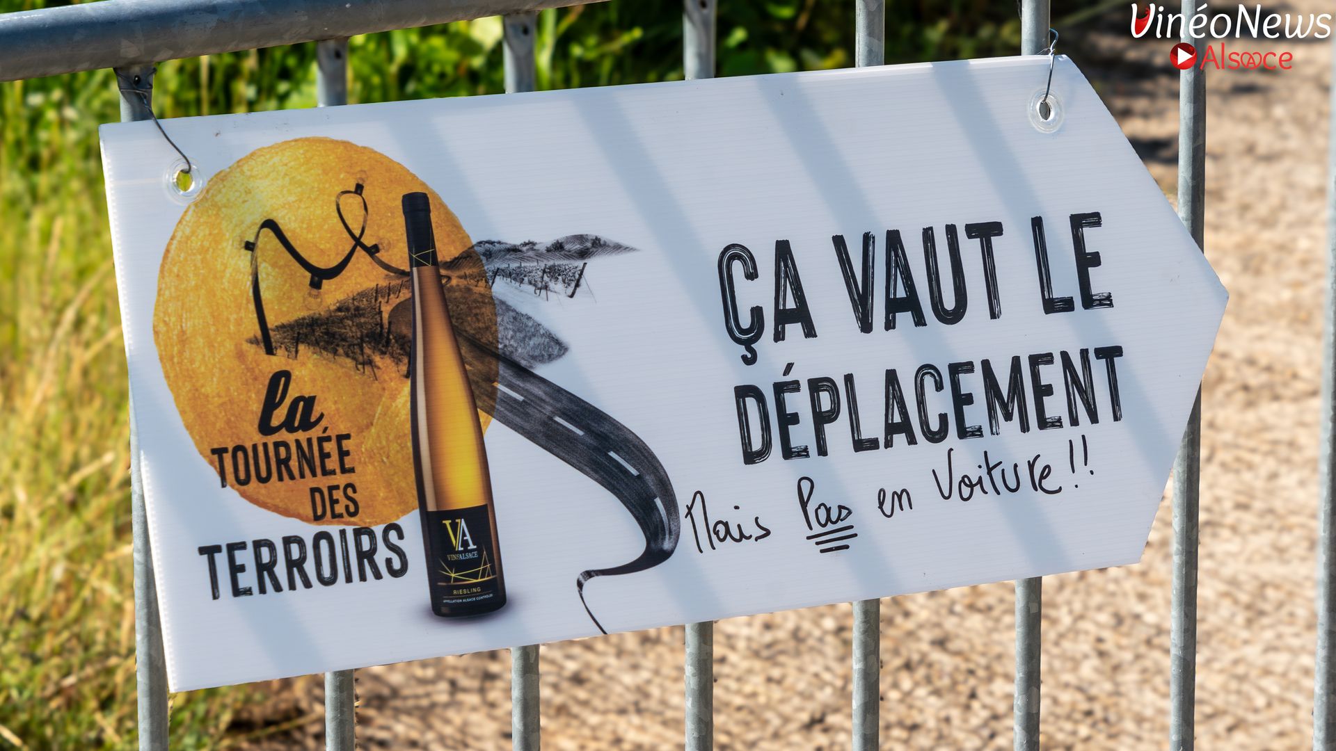 La Tournée des Terroirs 2026 : l’Alsace célèbre ses grands crus au cœur des vignes